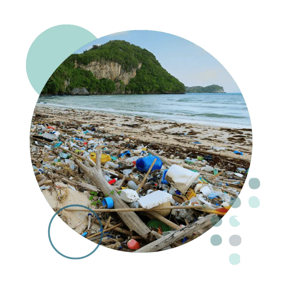 Environmental composite 1000x1000