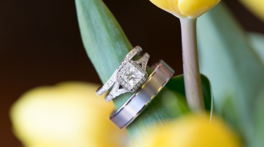 Decorative image 1 1100x550 6