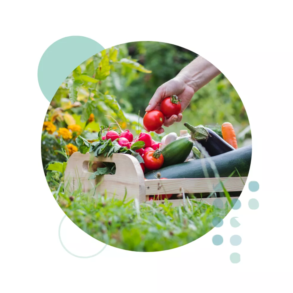 This Produce Company Saved 450000 in Annual Premium